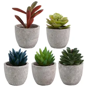 5 PCS Artificial Succulents Plants, Mini Fake Plants in Pots, Small Succulents Plants Artificial for Office Desk Home Living Room Table Decor Indoor