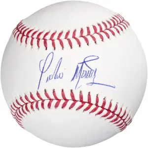 Pedro Martinez New York Mets Autographed Baseball - Fanatics Authentic Certified