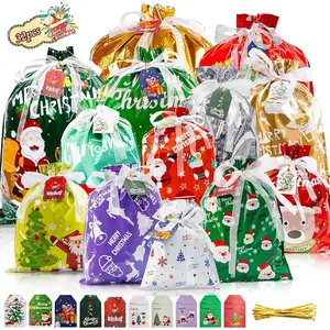 LoopLiving.org 10 PCS Christmas Drawstring Gift Bags