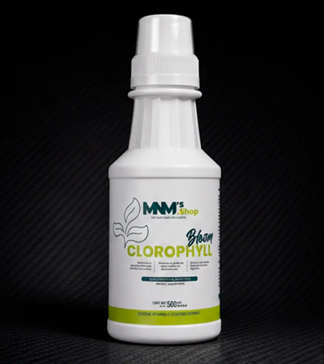 Bloom Chlorophyll Liquid Dietary Supplement - 500 mL