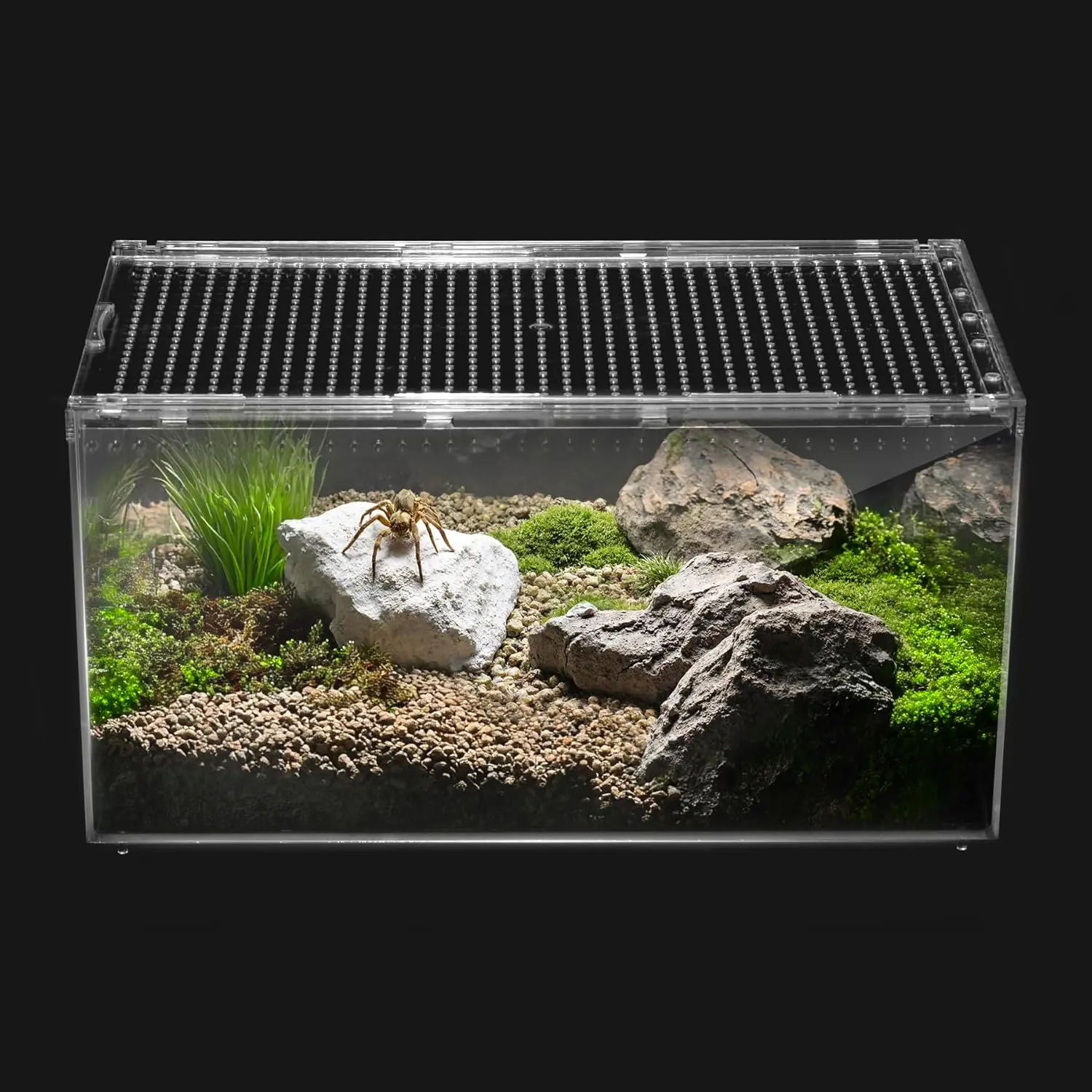 Plastic Rectangle Reptile Terrarium Habitat Starter Kit - Multi-Size (L:11.8x7.8x5.9in, S:7.8x5.9x3.9in) for Small Reptiles, Arachnids, Insects