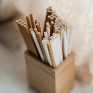 100pcs Thick Paper Straws, 7.76 Inches Disposable Party Straws, Individual Packaging, Decorative Straws for Shakes, Bar, Coffee, Milk Tea, Soda