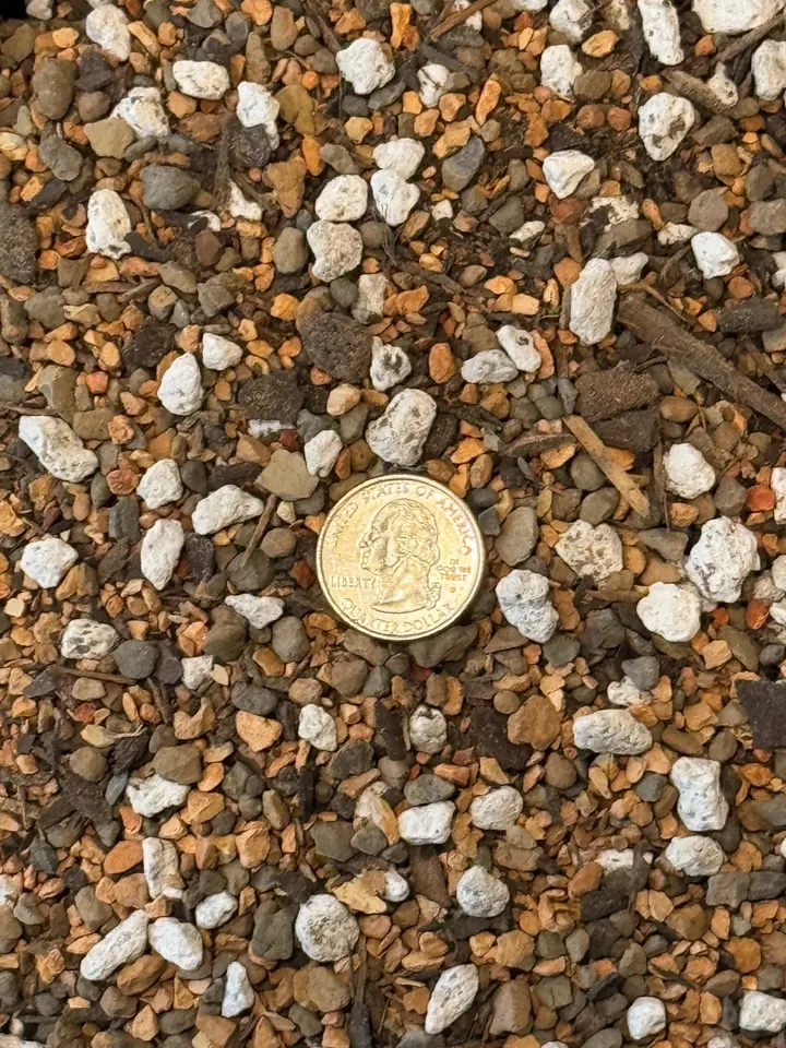Cactus & Succulent Soil - Coarse Mix 2 Quarts