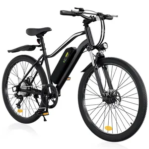 Adult Electric Bicycle 750W | 60 Miles Long Range, Removable Battery, 5 Speed, Shock Absorber