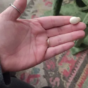 MSHUKCOE Mini Invisible Headphones Bluetooth 5.4 True Wireless In-Ear Earphones sport Audio Earbud audifonos bluetooth wireless headphones noise cancelling headphones gamingheadset