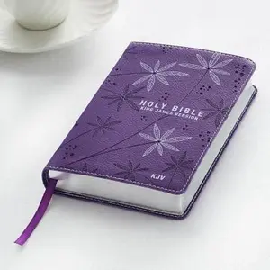 USED-KJV Pocket Edition: Purple by Christian Art Publishers (Imitation Leather)