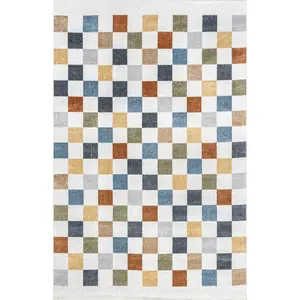 Naya Checkered Machine Washable Area Rug