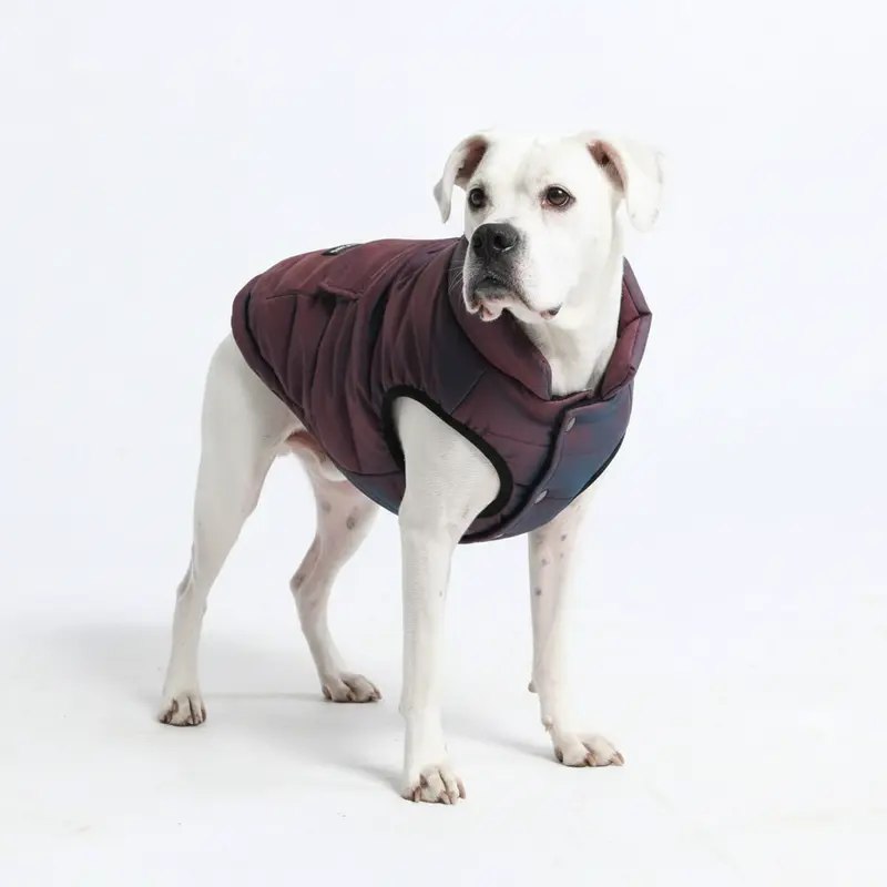 Spark Paws WarmShield Water-Resistant Dog Jacket with Fleece Lining & Reflective Straps for Winter Walks