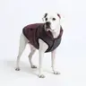 Spark Paws WarmShield Water-Resistant Dog Jacket with Fleece Lining & Reflective Straps for Winter Walks