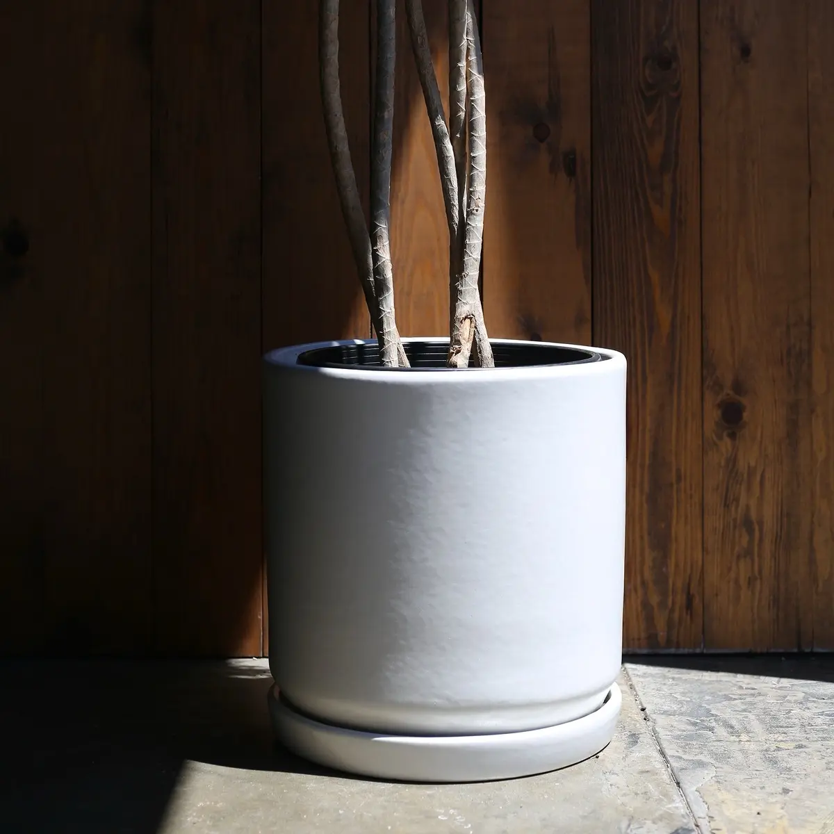 XXL Mid Century Modern Planter, Ceramic Cylinder Plant Pot (Matte White) -  TikTok Shop