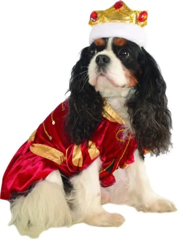 Pets Royal Canine King Costume