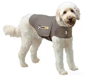 Grey Thundershirt