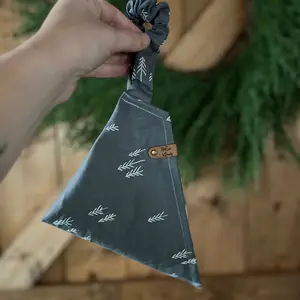 Let’s go on an Adventure Scrunchie Dog Bandana