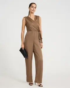 Express V-Neck Tie Waist Metallic Wide Leg Jumpsuit