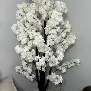 review image 10