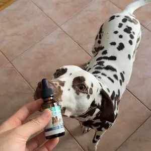 Woyamay Hemp Oil for Dogs and Cats - Hemp Oil Drops Rich in Omega 3, 6, 9 and Organic Extract Helps Pets with Аnxiеty, Pаin, Strеss, Slееp, Аrthritis, Sеizures Rеlief, Pets Calming Treat