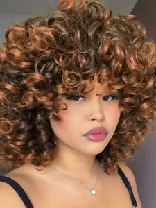 Short Loose Curly Wig with Bangs for Black Women 14 Inch Curly Afro Synthetic Hair Wig for Daily and Cosply Party Afro Curly Wigs