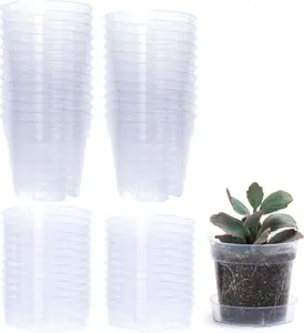 4 Inch Clear Plastic  Pot with Drainage Holes, Interlocking & Detachable Tray - Deep Saucer - Durable  Plastic, Transparent Design, Raised Base for Airflow, Set of 24, 92-X-C-2