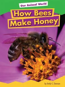 USED-How Bees Make Honey by Dawson, Emily C. (Library Binding)