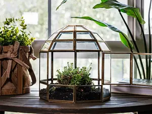 Large Terrarium Birdcage, Glass and Metal Indoor Display Case, Unique Gift Idea, Succulent Container, Orchid Planter, Home Decor.
