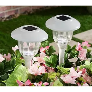 Energizer 12 Pack Solar Pathway Light Set 15-Lumen Energizer 12 Pack Solar Pathway Light Set 15-Lumen