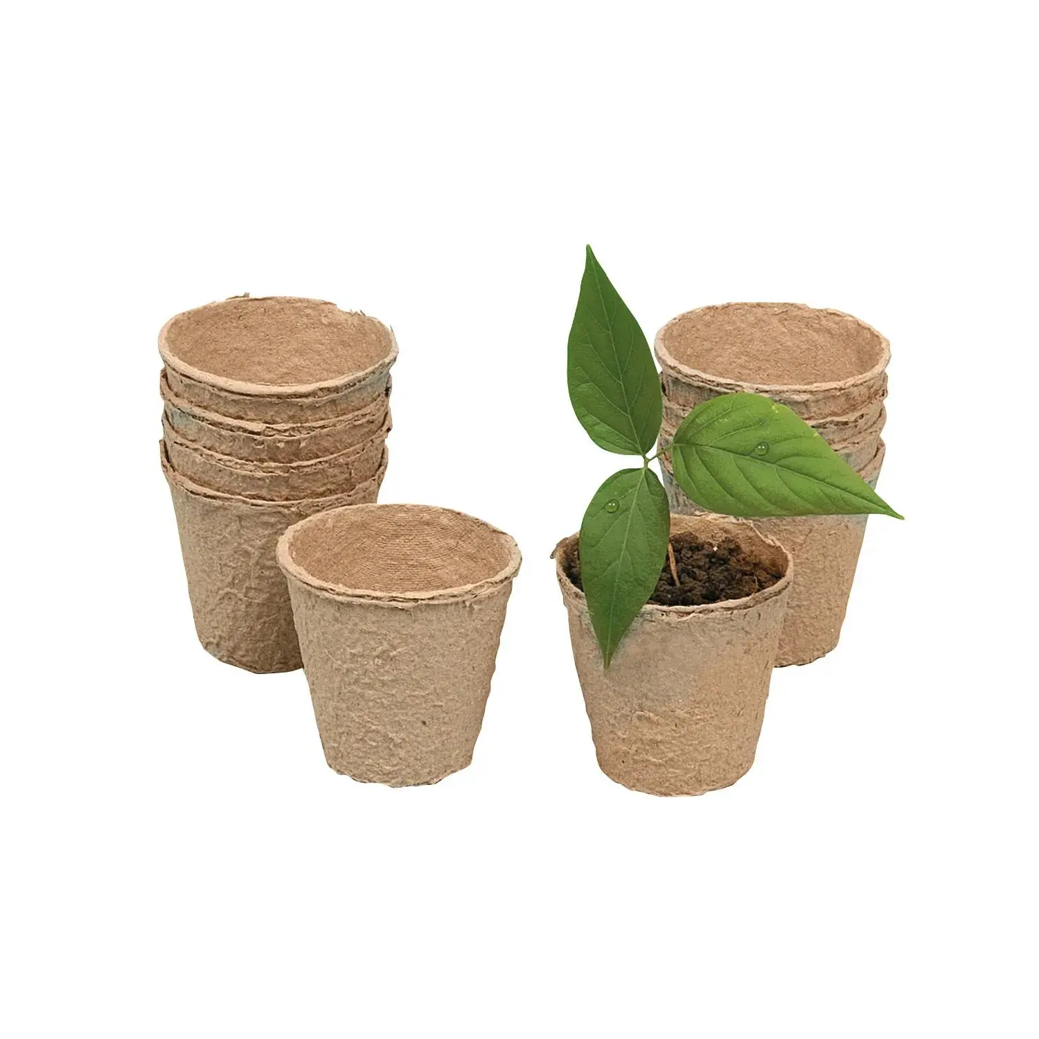 2" Small Biodegradable Paper Plant Pot for Plants - 24 Pcs DIY Watch It Grow Seed Pots, Ideal for Mother's Day, Earth Day Crafts (Toys & Hobbies, DIY Beading & Jewelry Making Compatible)
