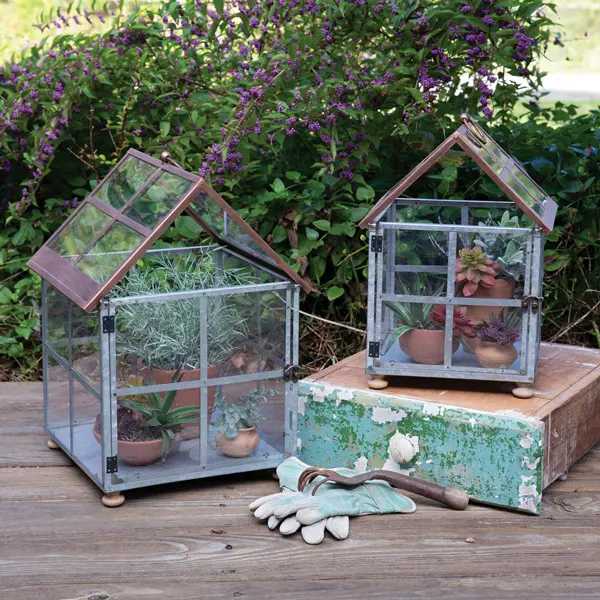 Farmhouse Glass Terrariums - Set of 2