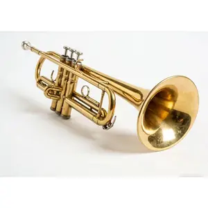 STRICH Bb Tenor Slide Trombone Student Beginner Brass Trombone Kit with 7C Mouthpiece White Gloves Cleaning Kit Hard Performance Case, STB-1G, Gold