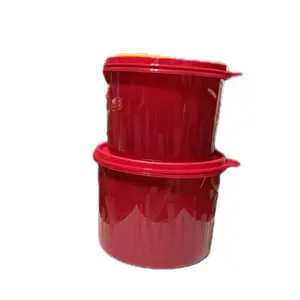 Fridge Container Set with Glitter & Textured Design 1.1L & 1.7L