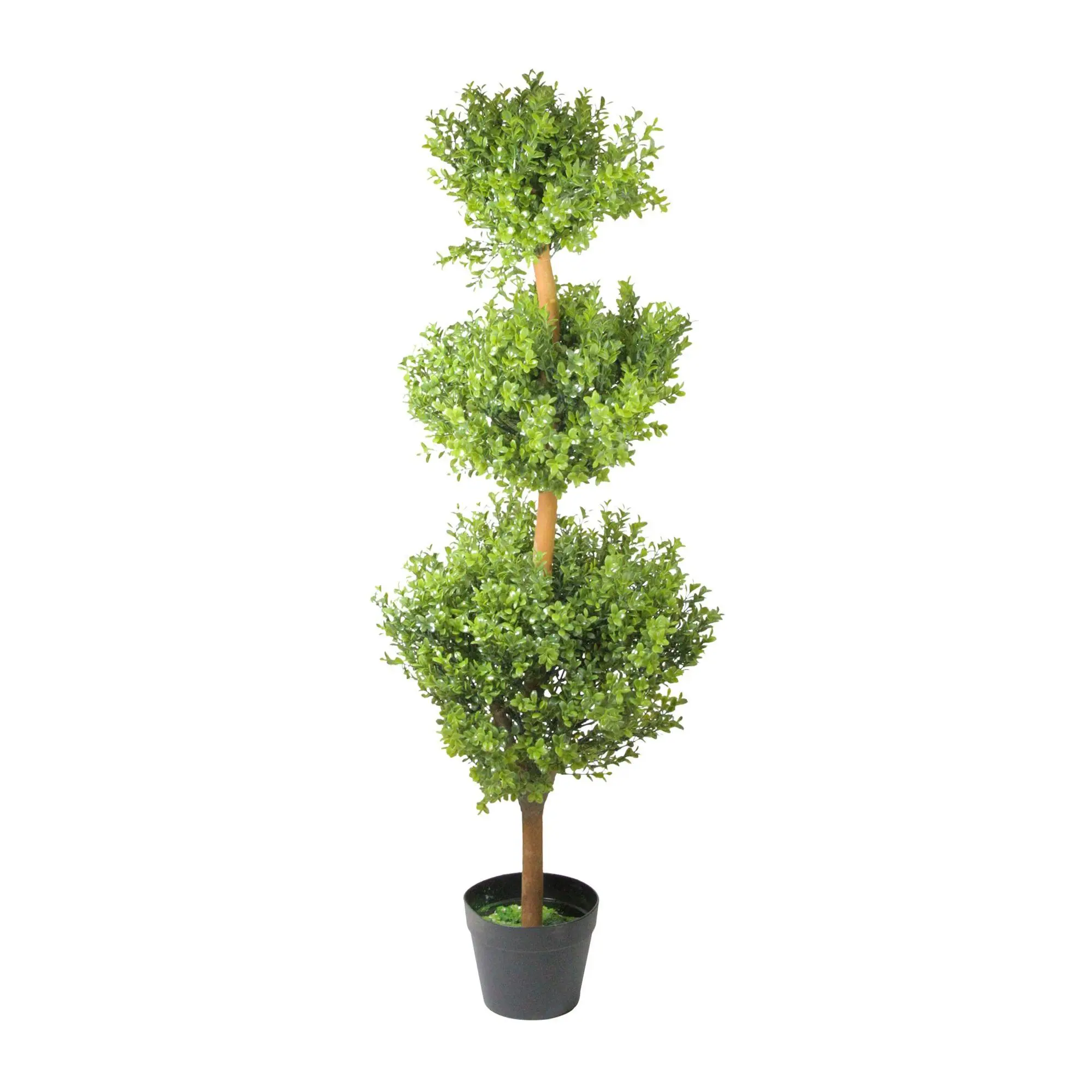 Northlight Potted Two-Tone Murraya Triple Ballopiary Tree