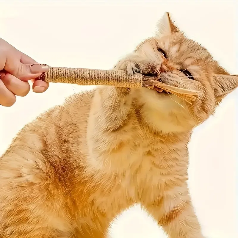 3 PCS Silvervine Chew Sticks for Cats - Natural Sisal Jute Oral Care Toys, Stress Reliever for Kittens Teething & Aggressive Chewers, Teeth Cleaning Aid