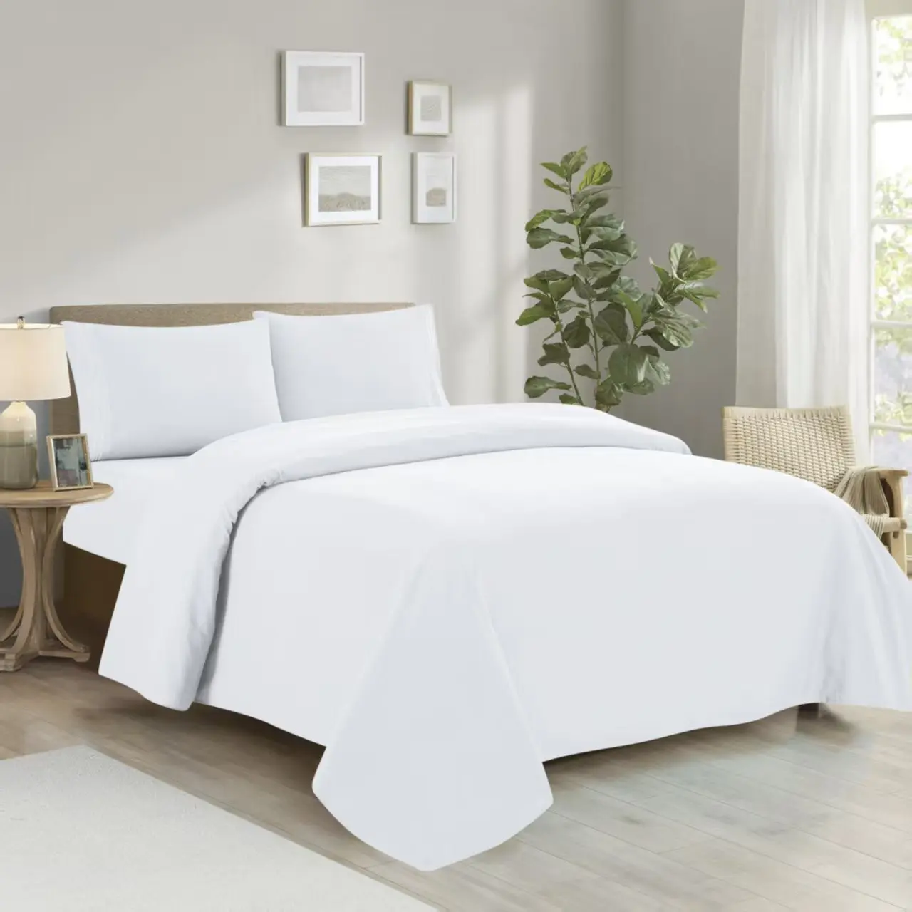 4pc Bedsheet Solid