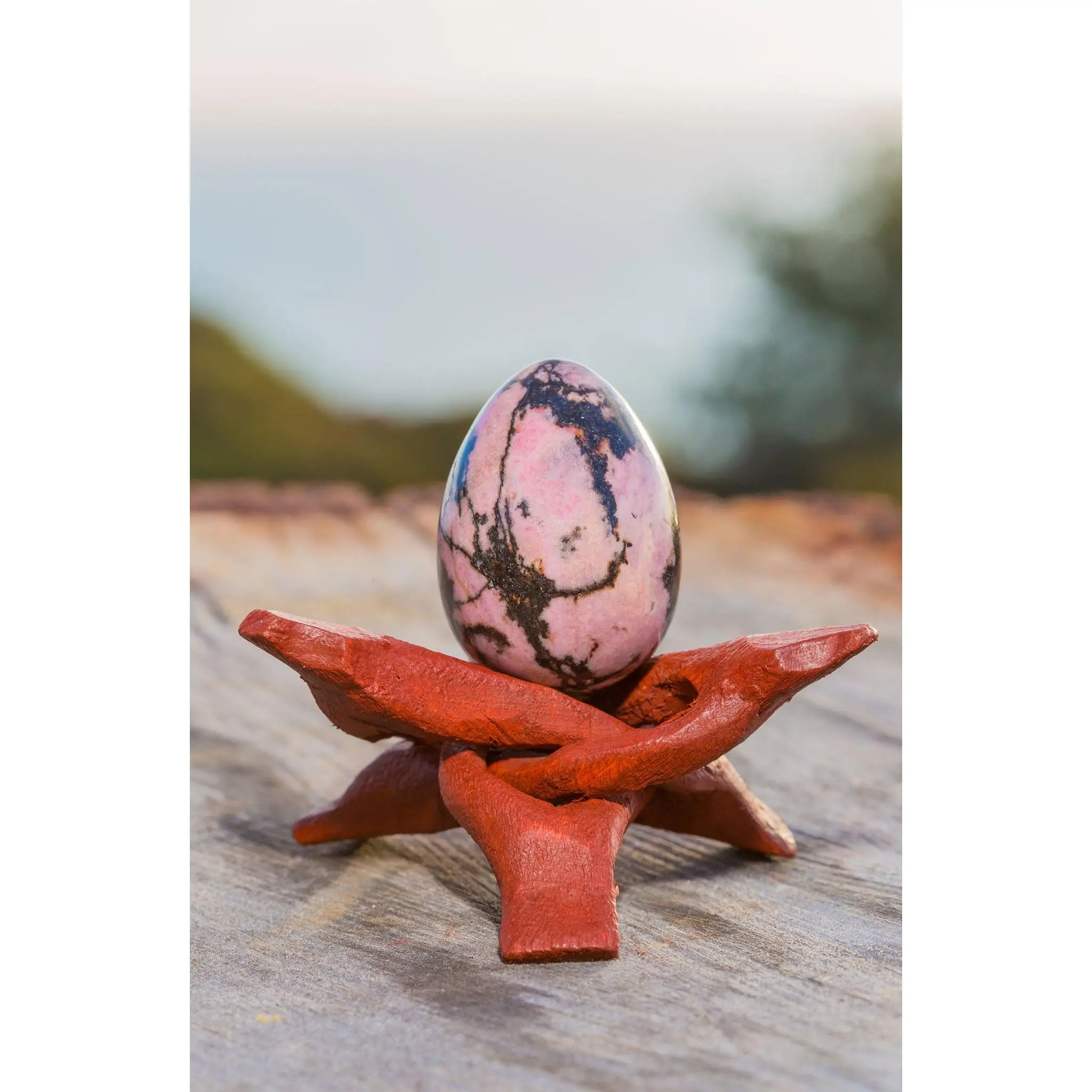 Rhodonite "Discovery & Forgiveness" - Certified
