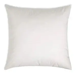 20 x 20" Pillow Form