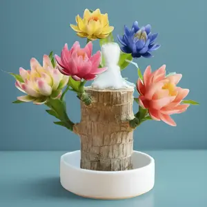 Brazilian lucky trees, bring you luck and increase wealth, mysterious doll with base, easy to grow indoors brazilian lucky wood Decor Ornaments Wooden