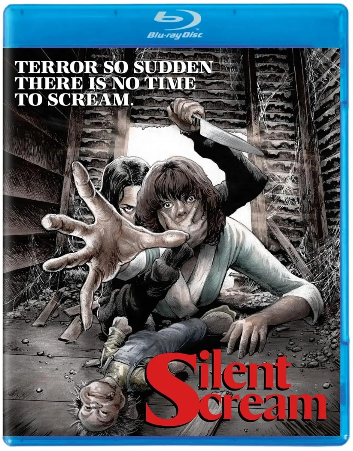 Silent Scream Horror Thriller Movie [BLU-RAY] - KL Studio Classics Special Edition, Preferred, No Age Restriction, No Warning Applicable, English Subtitled, Ac-3/Dolby Digital Audio, Anamorphic Format