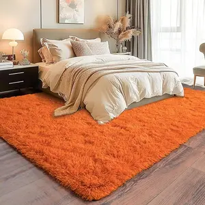 Rezutan Super Soft Plush Shaggy Area Rug for Living Room Bedroom Nursery Kitchen and Bathroom Cozy Carpet for Home Decor Free 4 Anti-Slip Stickers Back to School