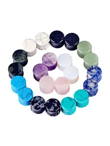 2 Pcs Mixed Stone Ear Plugs Kit Stretching Earrings Gauges Set Saddle Double Flare Expander Tunnels for Men Women Earrings Body Piercing Jewelry
