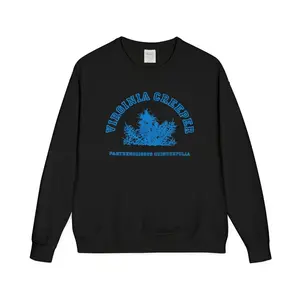 Raf Virginia Creeper Crewneck, Vintage Pullover Sweatshirt, Retro Streetwear Sweater, Unisex Casual Gift Apparel