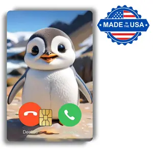 Pudgy Pay Custom Decal Credit Card Cover Vinyl Skin Sticker - Credit Card Accessory