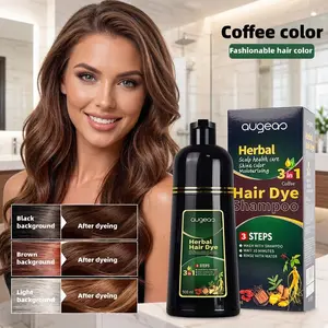 3-in-1 Hair Dye Shampoo for Gray Hair, Instant Hair Color Shampoo, Herbal Bubble Hair Dye, Fast 10 Minute Gray Coverage, No Salon Needed, Easy At Home Hair Coloring for Men Women, TikTok Viral Hair Care Product