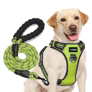 Reflective Neoprene Dog Harness & Leash Set Adjustable No-Pull Luxury Pet Vest with Custom Name Tag High-Visibility Strips Soft Padding Dual Leash Attachments