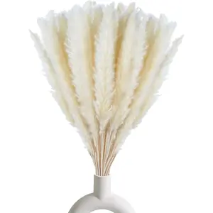 30 count White Pampas Grass ,17 inch/45 cm  Dried Pampas Grass Branches Decor for Home Kitchen Garden Party Photographing Flower Arrangement Vase DecorWhite
