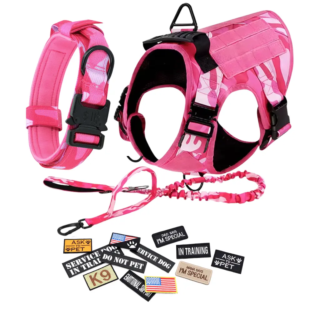 Pink Harness, leash, Collar & 12 Patches