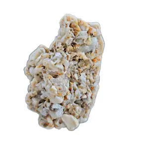 shell limestone