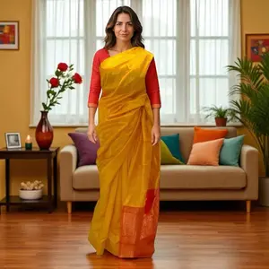 Banarasi sari set with blouse