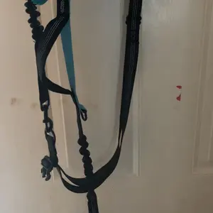 Product Review of iYoShop Hands Free Dog Leash with Zipper Pouch, Dual Padded Handles and Durable Bungee for Walking, Jogging and Running Your Dog from L**n D**s