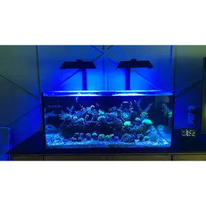 Hydra 64 HD/52 Shade