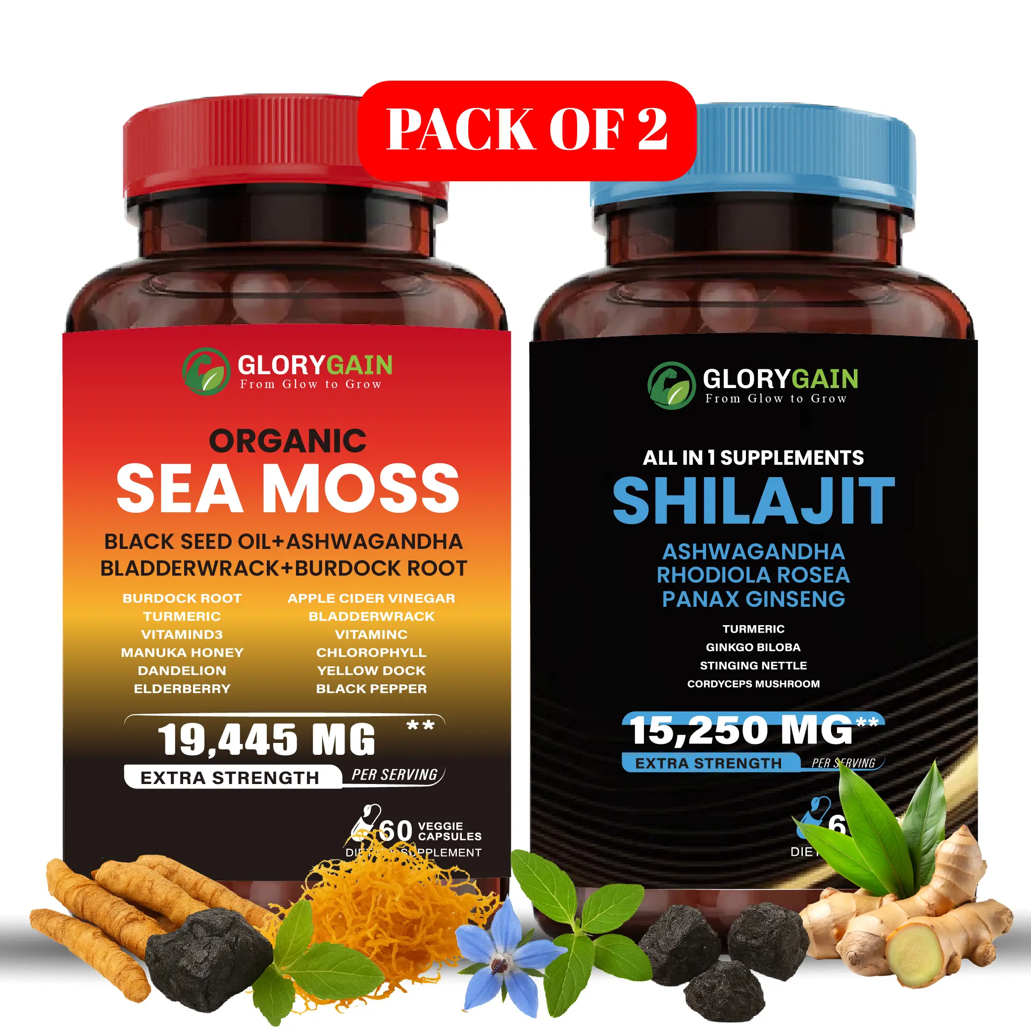 GloryGain Sea Moss & Shilajit Pack of 2 | 19,445MG + 15,250MG Extra Strength | All-in-One Wellness Bundle Natural Healthcare Fitness