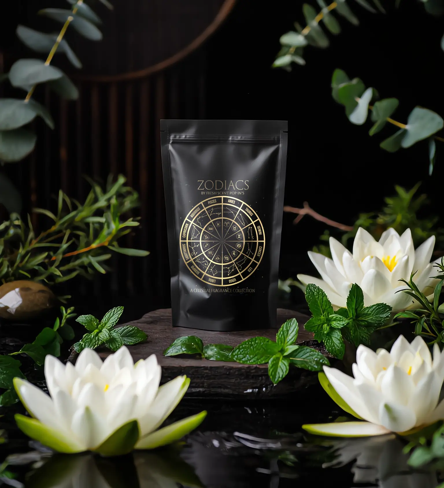 Aquarius Current Kink vacuum scent pads – rebellious water bearer vibes with lotus, mint, eucalyptus & white musk. Perfect for independent Aquarius spirits.